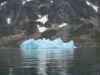 blue iceberg.JPG (136920 bytes)
