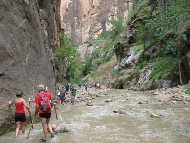 The only way up the narrows in Zion is to wade up the virgin river