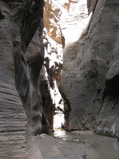 The Narrows canyon, Virgin River Zion National Park, about an hours walk into the canyon