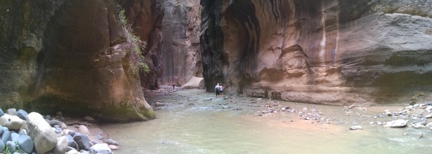 The upper parts of the Narrows Zion  National Park