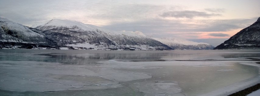 The narrow ends of the Fjords have started to freeze over