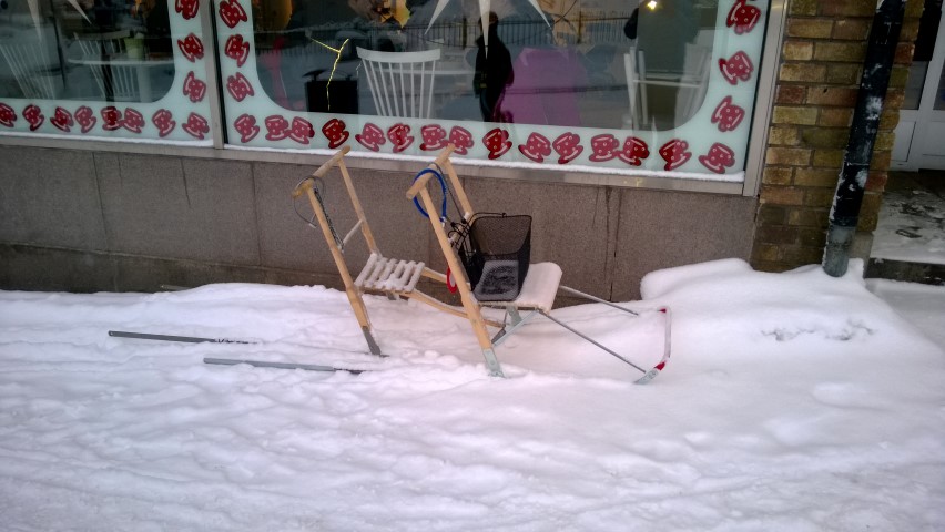 Shopping Sleds- take your sled and collect your shopping