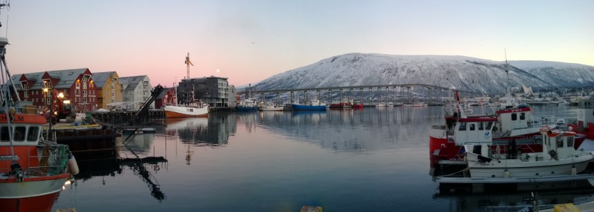 Tromso Wharf