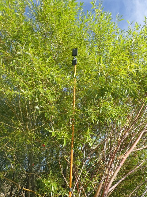 Our 7db Alfa Wifi antenna taped to some camping poles getting WiFi from someone in Rio Mayo
