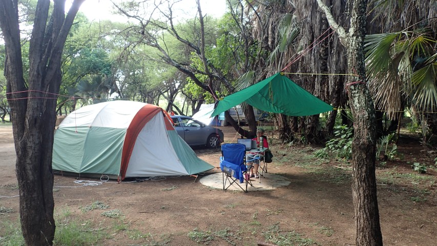 Our African Safari camp at Letaba Camp