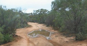 Aussie puddle. Photo found on the internet. 