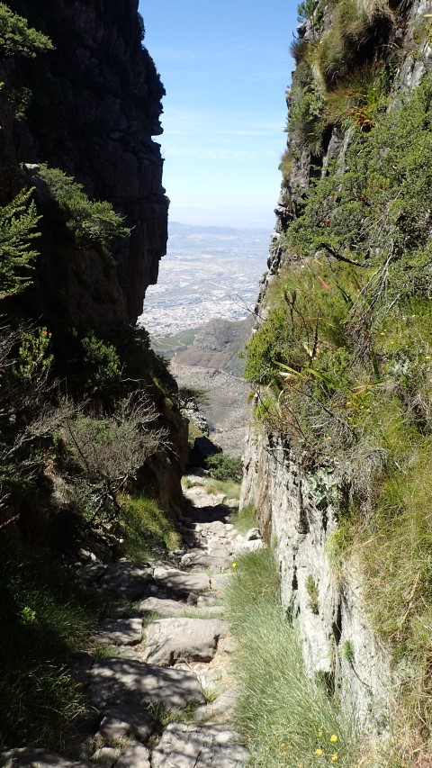 Almost to the top of Platteklip Gorge, where it narrows