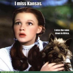 I'm feeling more like Toto than Dorothy at the moment