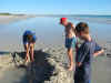 sandcastles cable beach.jpg (341660 bytes)