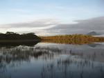 melaleuca lagoon  tasmania