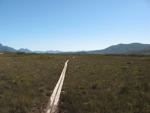 melaleuca cox bight south coast track