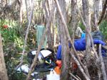 camped at junction creek camp port davey track wsouth-west tasmania