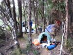 camped at crossing river camp port davey track wsouth-west tasmania