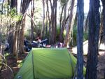campsite on creek 1.5km north spring  on the port davey track tasmania