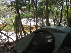 campsite south cape rivulet tasmania 