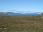 looking south to Cox Bight- south Coast Track Tasmania