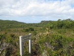 osmiridium instersection south coast track