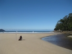 new harbour south west circuit  tasmania