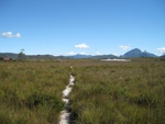 button grass plains south of scotts peak port davy track