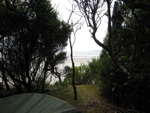 view from campsite cox bight south coast track