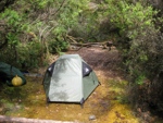 campsite at Loiusa Bay South Coast Track