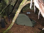 CAMPSITE EAST PRION SOUTH COAST TRACK TASMANIA