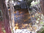 crossing Faraway Creek louisa plains south coast track tasmania