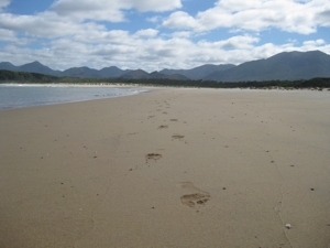 my footprints in the sand louisa bay tasmania south coast track