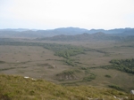 Louisa Plains